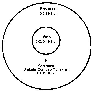 Vergleich zwischen einer Membranpore und einem Virus bzw. einer Bakterie